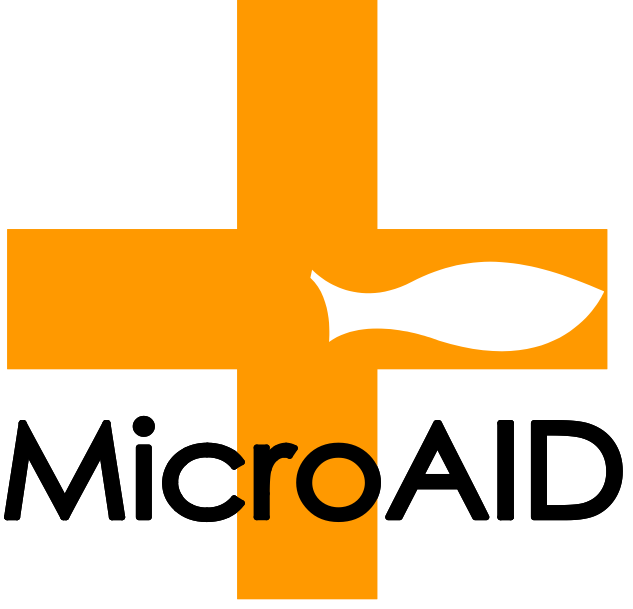 Micro-aid_logo-